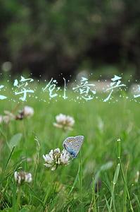 数字创意产业发展现状与前景(广东文创产业“潮”起来：从造玩具到造IP，数字经济连接“创意+产业”)