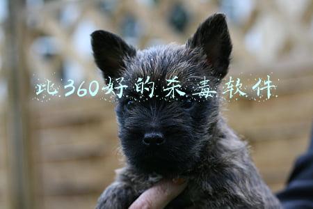 比360好的杀毒软件