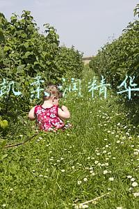 玫琳凯柔润精华眼霜跟啫喱眼霜那个好用(选择适合的眼霜，实现1+1\u0026gt;2的功效，拥有“睛”彩明眸)