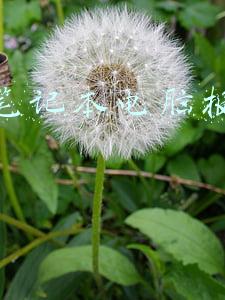 华硕台式电脑配置及价格(华硕ROG幻16登场，售9999元，配了i7-12700H和120W的RTX3060)