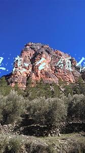 淘宝里怎么领优惠券