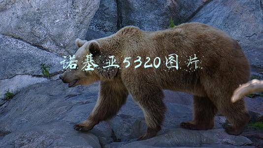 诺基亚5320di(聊聊自己最初的几台手机)