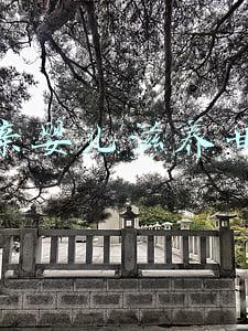 贝亲婴儿滋养甘油