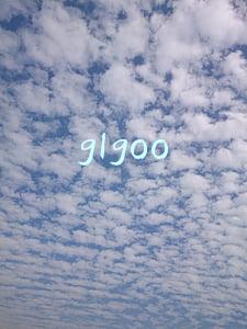 glgoo