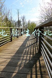 平板电脑性价比排行 知乎(2021年最佳平板电脑，七大推荐满足你过年换新的欲望)