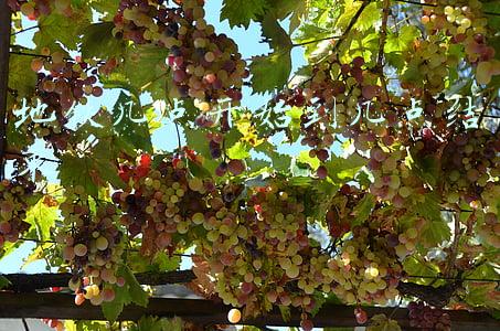 地铁几点开始到几点结束南昌1号线(跨年夜，南昌地铁1、2、3、4号线末班车将延长至次日0:30)