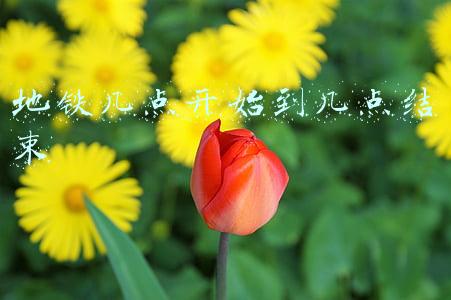 地铁几点开始到几点结束昆明4号线(云南昆明最长地铁4号线开通运营)