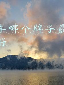 新能源电动车哪个牌子最好质量最好(2021年中国新能源行业TOP10企业，谁才是“头号玩家”？)