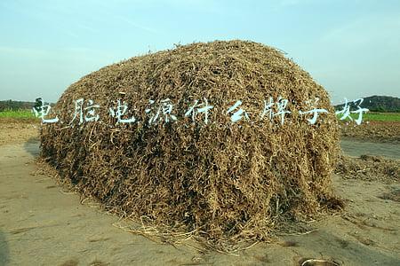 电源品牌推荐(11月电池大战，天能、超威、海宝、京球、理士，五大品牌都出手了)