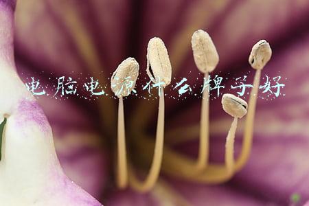 电脑电源哪个牌子好(中国汽车应急启动电源十大品牌2021年度排行榜)