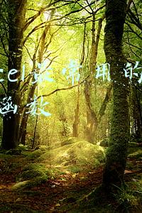 excel最常用的八个函数vlookup(它才Excel函数中的NO.1，vlookup函数十大用法详解，高效完成工作)