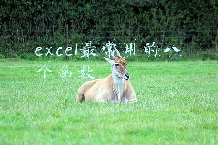 excel最常用的八个函数