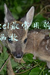 excel最常用的八个函数