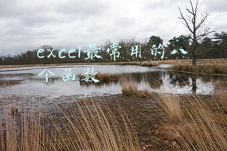 excel最常用的八个函数必须会的excel(这10个Excel函数公式，职场必备，办公不求人)