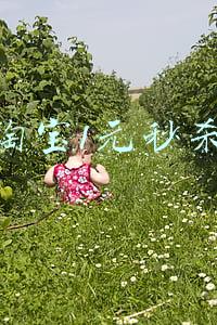 淘宝1元秒杀是不是真的(“1元秒杀100元话费”是真的吗？这件事没那么简单)