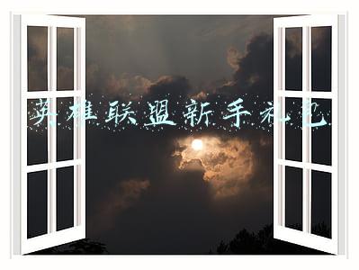 英雄联盟新手礼包的皮肤怎么用不了(王者荣耀SNK礼包慎点，一不小心就购买了，不能使用优惠券)