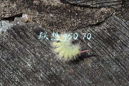 联想g50 70