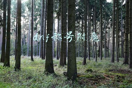 dnf称号附魔加技能的宝珠叫什么(DNF：第7季战令称号有属性！能加buff等级，赋予宝珠可提升2级)