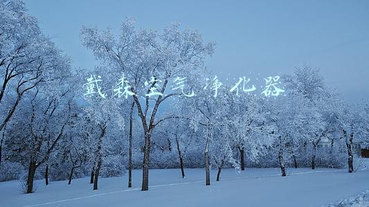 戴森空气净化器滤芯(戴森新风扇能除甲醛了，滤芯一辈子都不用换)