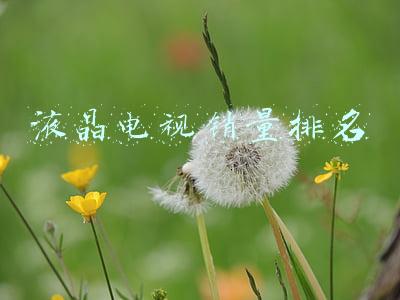 2017液晶电视销量排名(Omdia：三星电子连续16年位居全球电视市场冠军)