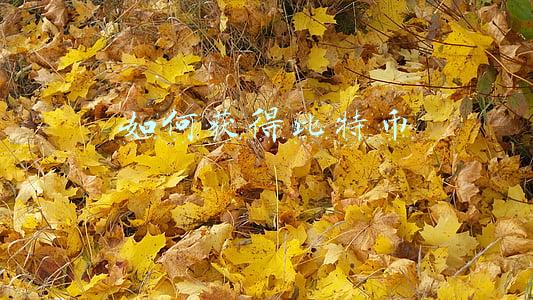 如何获得比特币