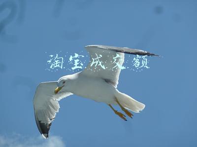 2020年淘宝成交额(双十一喜报式实时成交额不见了怎么回事？今年双11电商成绩如何)