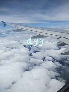 dgg