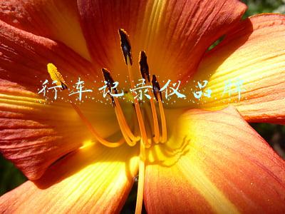 行车记录仪品牌
