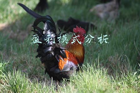 盈利模式分析模板(不同类型网站的盈利模式，小白踩坑指南，你能否理智分析？)