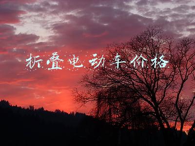 静速折叠电动车价格(COSMOTUDE | 新年五件套，你进行到哪一步了？)