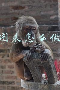 图表怎么做