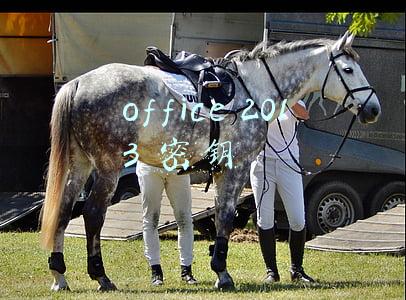 office2013密钥生成器(钱真好赚？当年那些天价的端游激活码，一个7000元卖得比魔兽还贵)