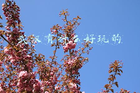 武汉有什么好玩的
