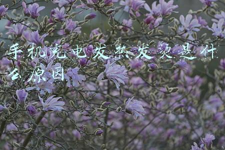 冬天手机充电发热发烫是什么原因(手机装裤兜莫名着火，一男子被烫伤！手机自燃的四个前兆→)