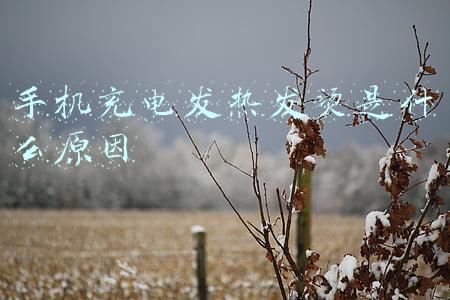 荣耀手机充电发热发烫是什么原因(充电时充电头发热，需要警惕“第三阶段”)