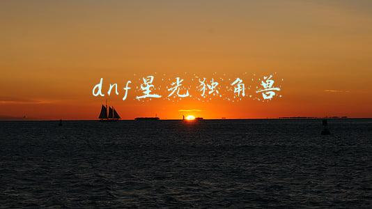 dnf星光独角兽是什么东西(DNF玩家辛苦肝了一个月换到独角兽，却被发现已经绝版了)