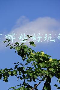 武汉有哪些好玩的地方