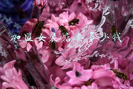 女装加盟店10大品牌 女装加盟店10大品牌免费铺货