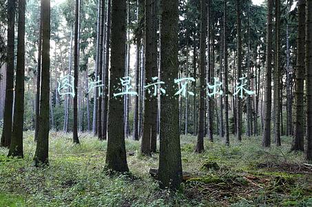 图片显示不出来 图片显示不出来