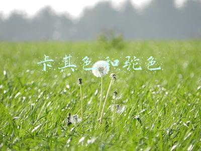 卡其色和驼色 卡其色和驼色