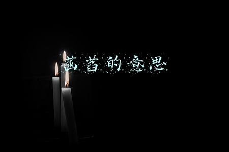 菡萏的意思是什么(《说文解字》第69课：荷、莲、茄、芙蕖、芙蓉、菡萏是一种东西吗)