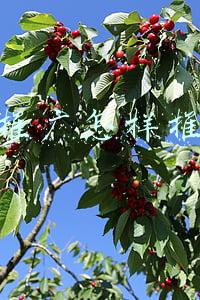 做推广怎样推广