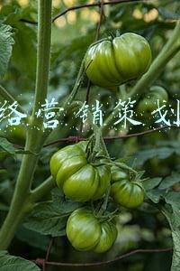 网络营销策划师岗位职责(「国企」贵州电商云毕节市子公司2022年招聘简章)
