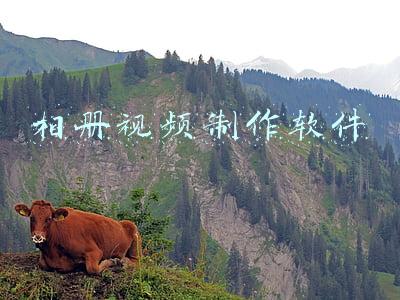 相册视频制作软件app(手机修图最经典好用的6款APP，必下！这么多年，都难以被超越)