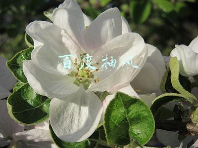 百度抽风了上不去(百度导航抽风？频繁提示用户“逆行”是怎么回事儿！)