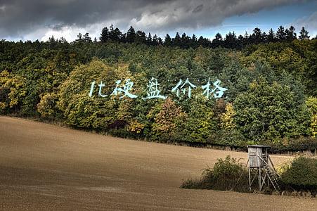 1t硬盘价格