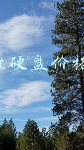 1t硬盘价格