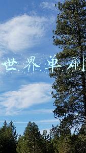 魔兽世界单刷坐骑掉落大全(魔兽世界所有掉落类坐骑整合 妈妈再也不用担心我漏刷坐骑)