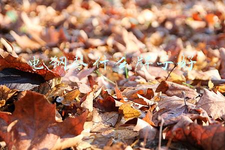 电钢琴什么牌子好