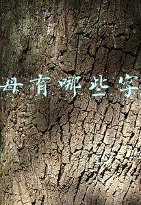 复韵母有哪些字母(熟记标调歌，学习声调很简单，一年级家长来看看)